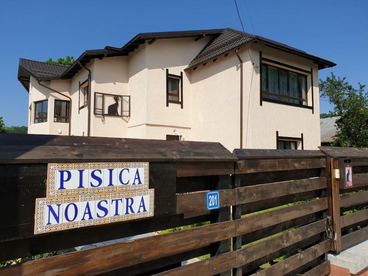 布雷亚扎 Casa Pisica Noastra酒店 外观 照片